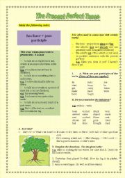 English Worksheet: Present Perfect   Grammar-guide and Practice