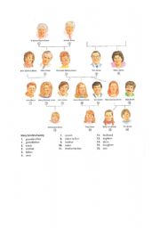 English Worksheet: family tree