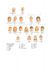 family tree