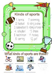 Kinds of sports