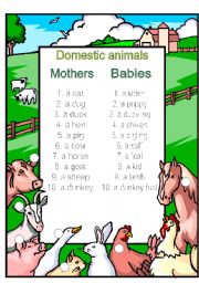 Mothers and babies vocabulary