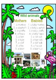 English Worksheet: Mothers and babies vocabulary 2
