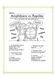 English Worksheet: Amphibians vs Reptiles