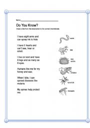 English worksheet: Bilogy- Animals