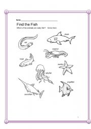 English worksheet: Biology-Animals