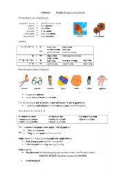 English Worksheet: Singular and Plural