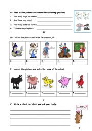 English Worksheet: test about pets and jobs...part II