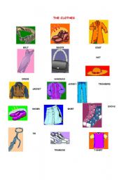 English Worksheet:  CLOTHES