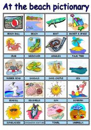 SUMMER / AT THE BEACH PICTURE DICTIONARY 