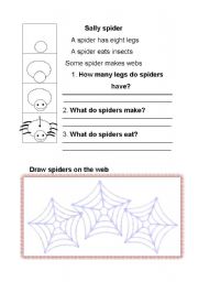 English Worksheet: Sally spider