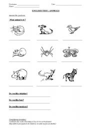 English worksheet: test pets  