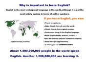 English Worksheet: Why is imortant to learn English?