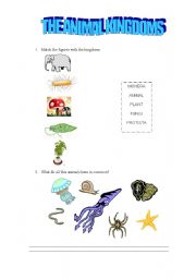 English worksheet: animal kingdoms