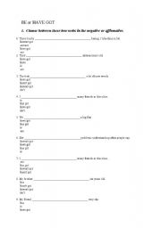 English Worksheet: BE or HAVE GOT