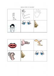 English worksheet: Bingo-Parts of the body