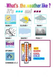 English Worksheet: WHATS  THE  WEATHER  LIKE ?