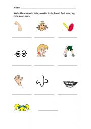English Worksheet: parts of the body