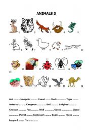 English Worksheet: Build up your vocabulary - Animals 3