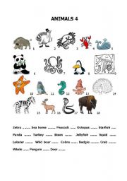 English Worksheet: Build up your vocabulary - Animals 4