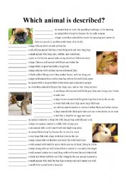 Animal descriptions - worksheet