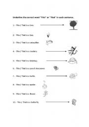 English worksheet: This / That  (1st grade elementary)