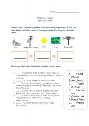 English Worksheet: pond ecosystems assessment