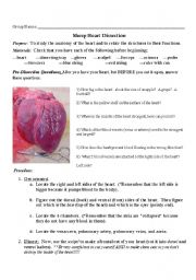 English worksheet: Sheep Heart Dissection