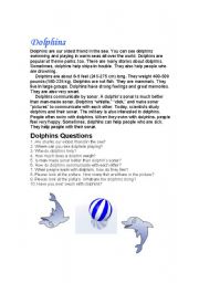 English Worksheet: Dolphins