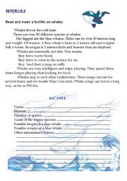 English Worksheet: Whales