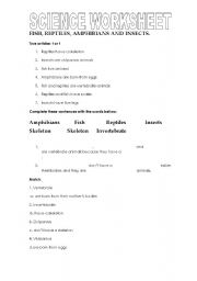 English worksheet: science worksheet