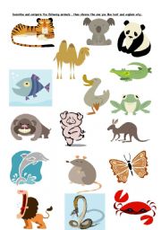 English Worksheet: describing animals
