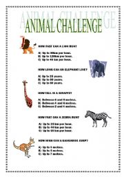 ANIMAL CHALLENGE