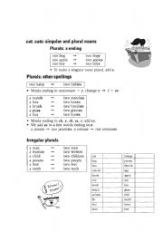 English Worksheet: singular and plural