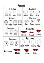 English Worksheet: Face features