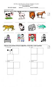 English worksheet: test for 2nd grade