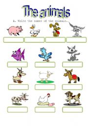 English Worksheet: Animals