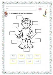 English Worksheet: Body parts