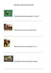 English worksheet: Where Food Comes From