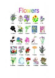 English Worksheet: flowers