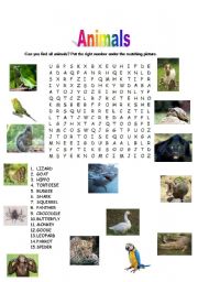 wordsearch animals