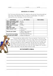 English Worksheet: DESCRIBING AN ANIMAL