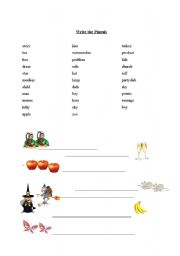 English Worksheet: Plural Forms