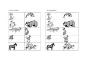 English worksheet: mammals