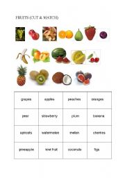 English Worksheet: fruits