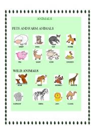 ANIMALS PICTIONARY