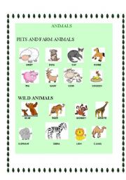 English Worksheet: ANIMALS PICTIONARY