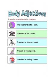 English worksheet: Body Adjectives