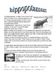 English Worksheet: the hippopotamus
