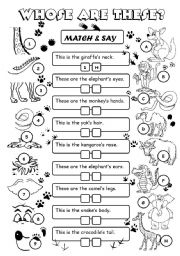 English Worksheet: The 