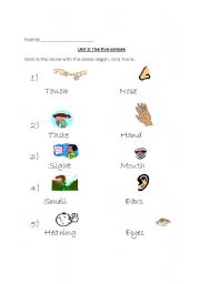 English worksheet: five senses